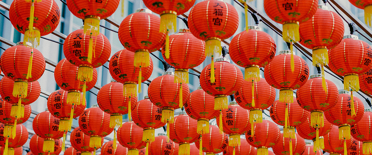 Chinese New Year Flower Gifts New Jersey - Flower Delivery New Jersey