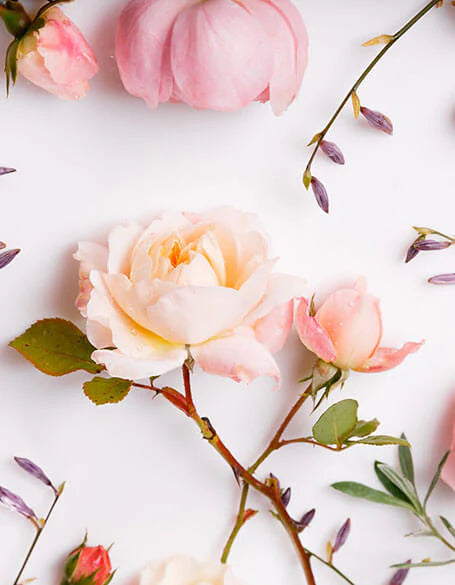 New Jersey Blooms - flowers, flower gift, roses, Cheektowaga Flowers Delivery