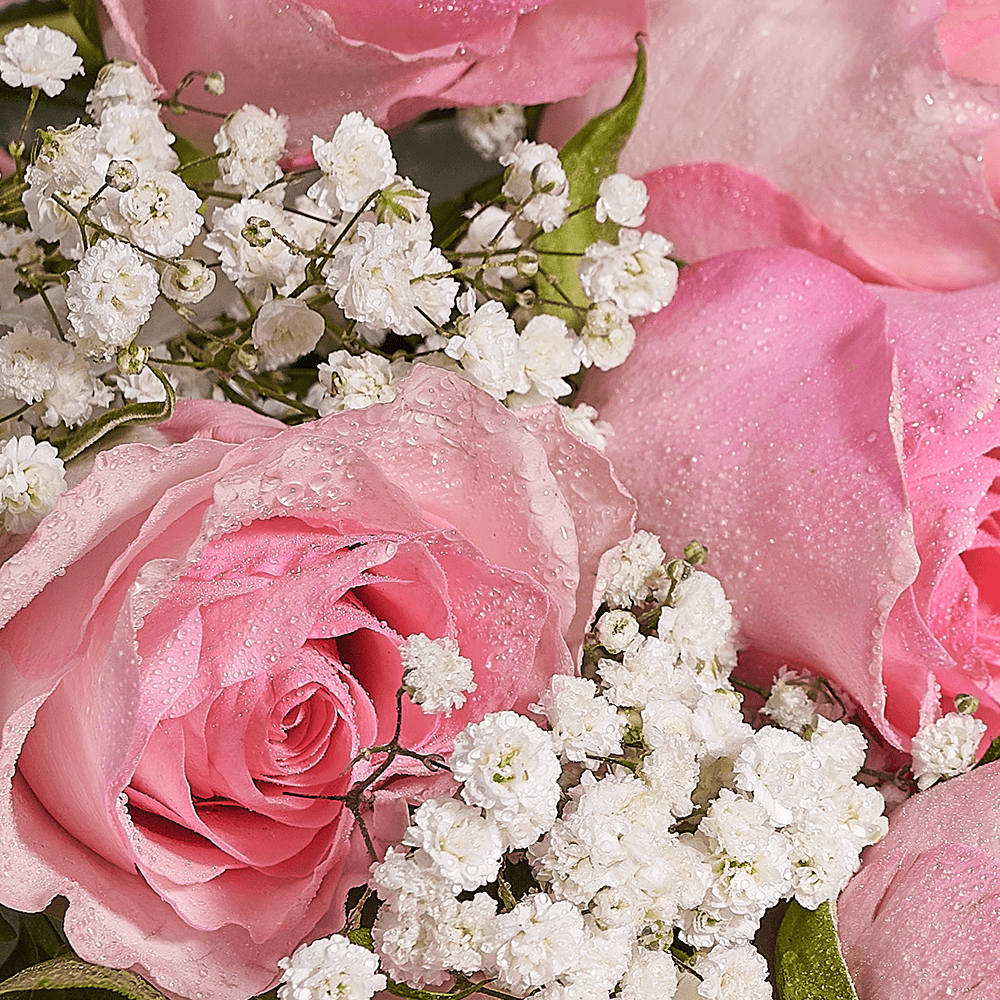 Mother’s Day Ultimate Pink Rose Gift Set – Mother’s Day Gifts – New Jersey delivery, champagne gift, champagne, sparkling wine gift, sparkling wine