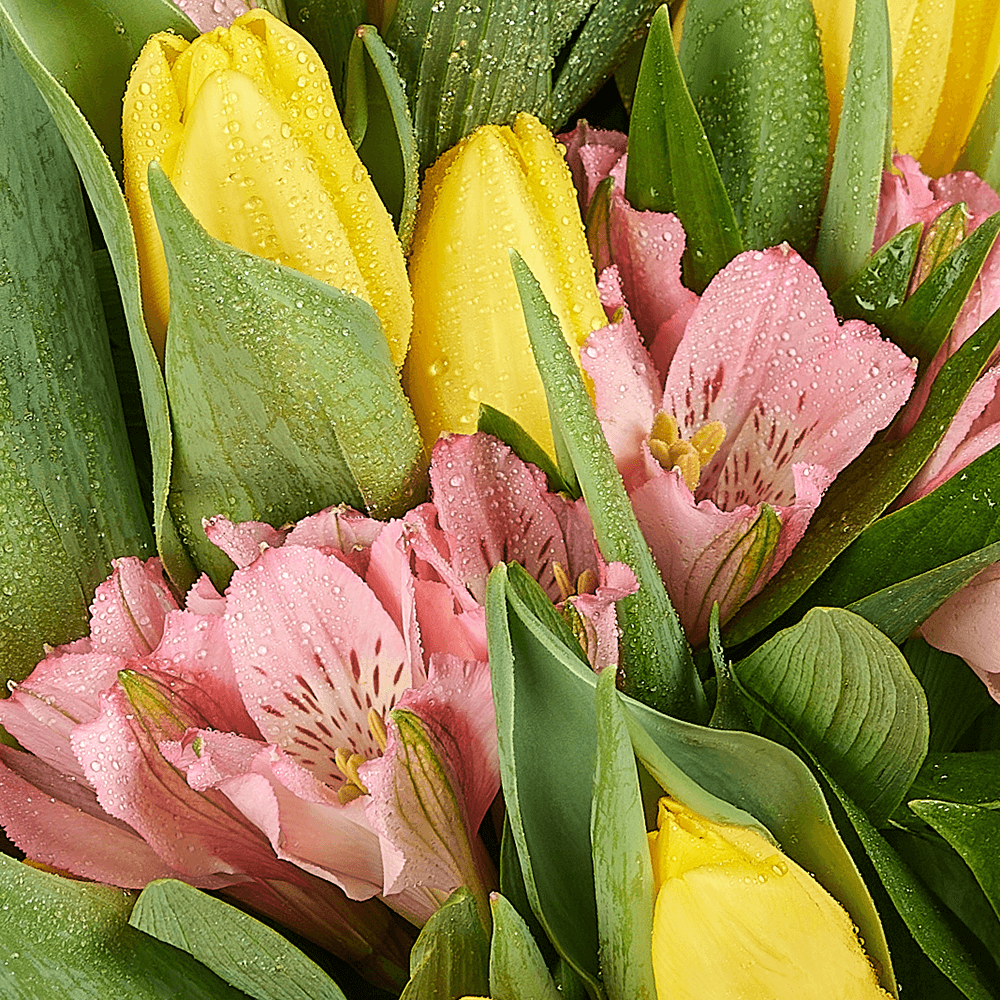 Spring Radiance Mixed Bouquet, tulip gift, tulips, flower gift, flower, seasonal flower gift, seasonal flower, New Jersey delivery