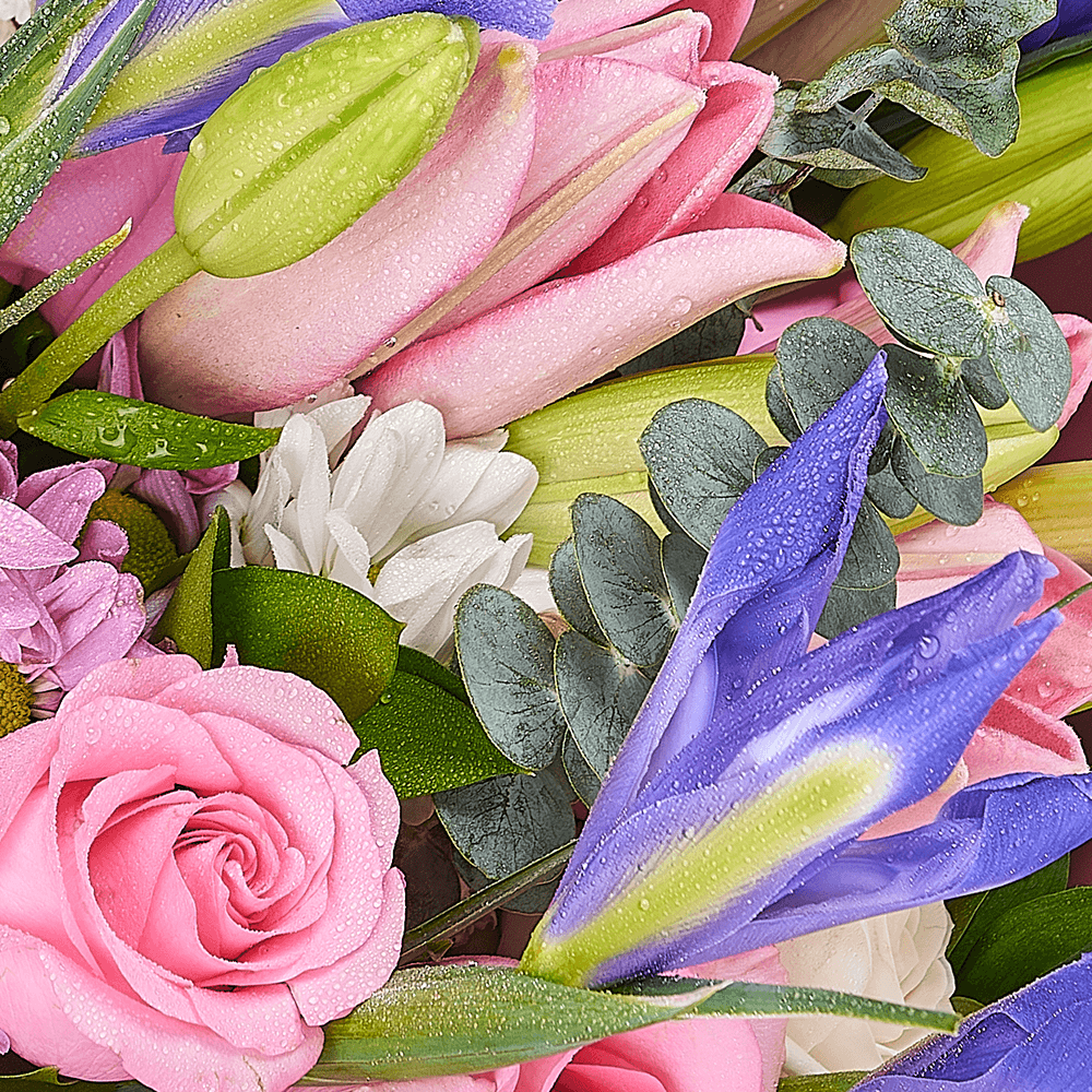 Spring Whispers Iris Bouquet - New Jersey Blooms - New Jersey Flower Delivery