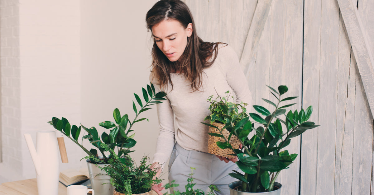 Plant of the Month Clubs New Jersey