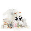 ABC Baby Gift Basket - New Jersey Blooms - New Jersey Baby Gift Delivery