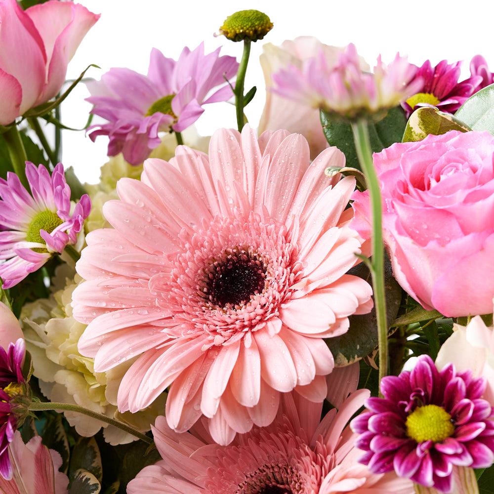 A Special Love Floral Gift, selection of pink & white roses, hydrangeas, daisies, carnations, mini carnations, Limonium, and greens gathered into a pink metal container, Floral Gifts from Blooms New Jersey - Same Day New Jersey Delivery.