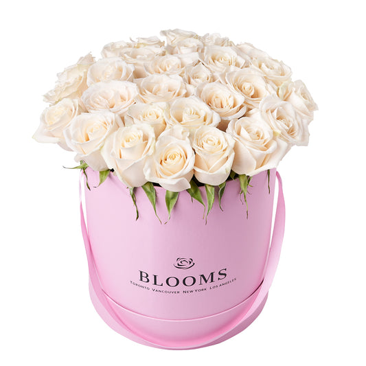 Delicate White Rose Gift, gift baskets, floral gifts, mother’s day gifts. New Jersey Blooms - New Jersey Delivery Blooms
