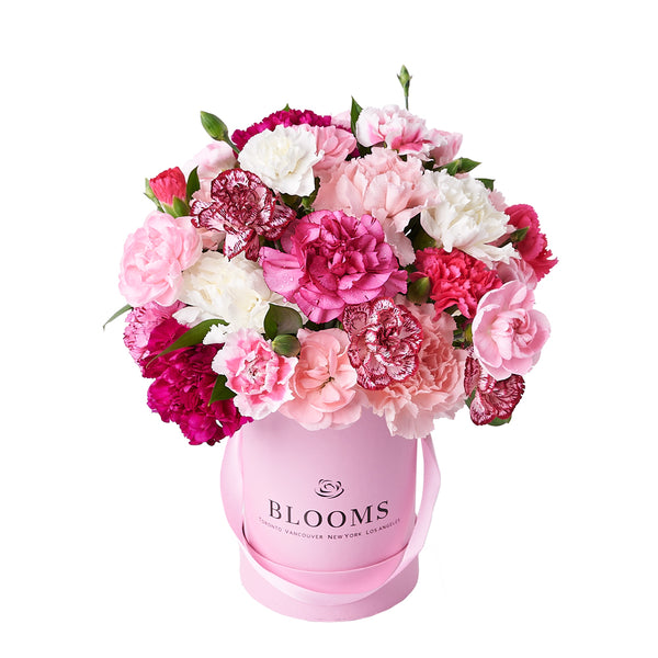 Perfectly Pink Carnation Gift Box – Box Floral Gifts – NJ delivery - Blooms  New Jersey