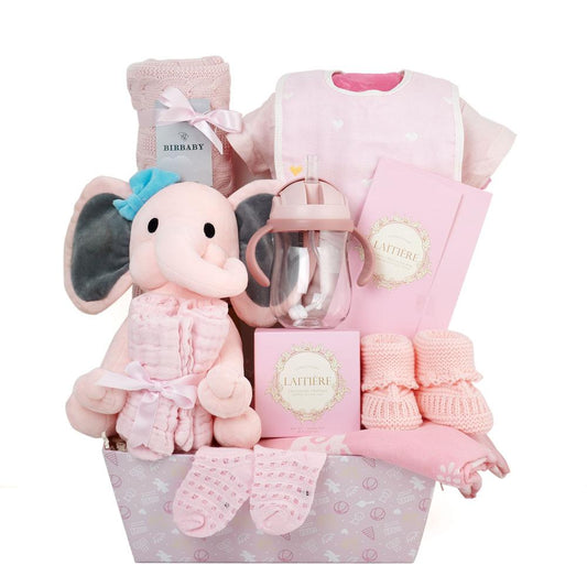 Baby Girl Gift Basket - New Jersey Blooms - New Jersey Gift Basket Delivery