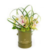 Berry Special Orchid Arrangement - New Jersey Blooms - New Jersey Flower Delivery