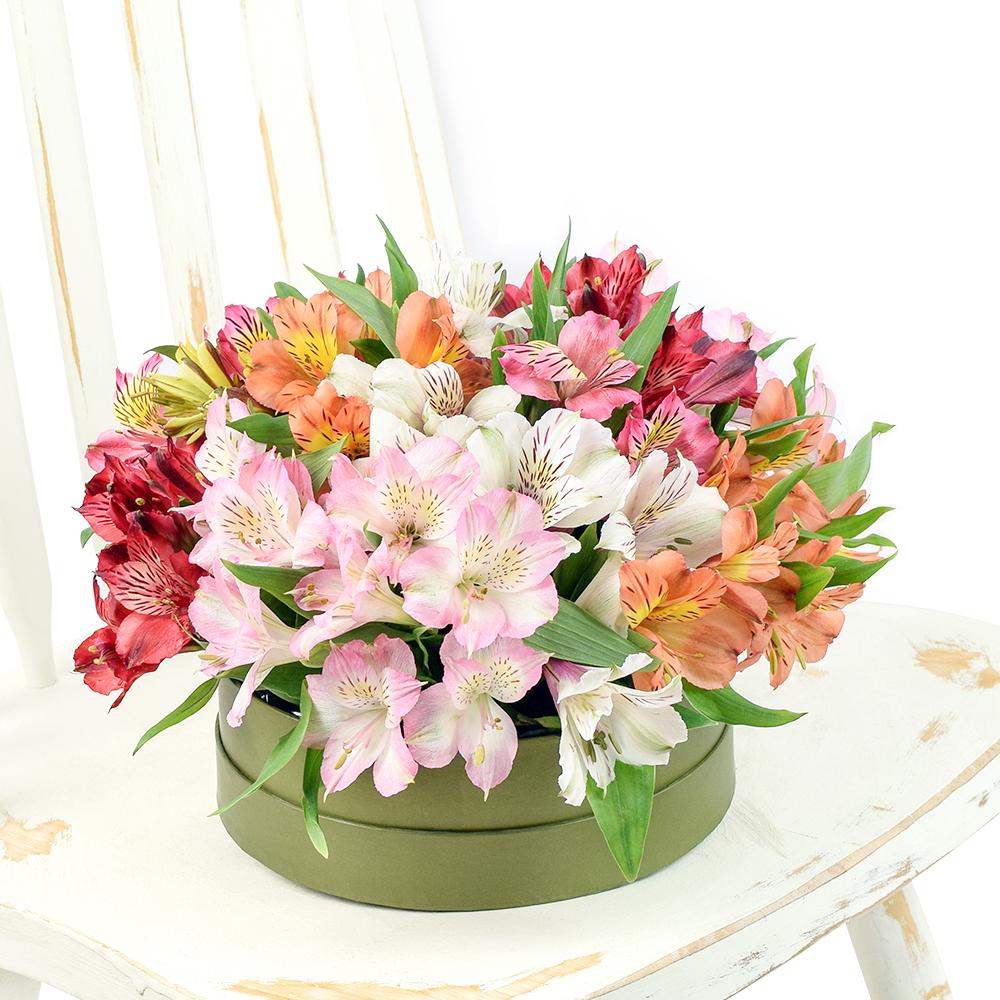 Brilliant Lily Hat Box, variety of lilies in a stylish short green hat box, Floral Gifts from Blooms New Jersey - Same Day New Jersey Delivery.