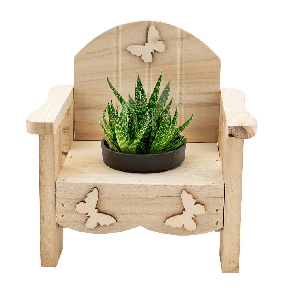 Butterfly Planter Chair Arrangement, rustic wooden planter chair adorned with a delightful potted succulent, Plant Gifts from Blooms New Jersey - Same Day New Jersey Delivery.