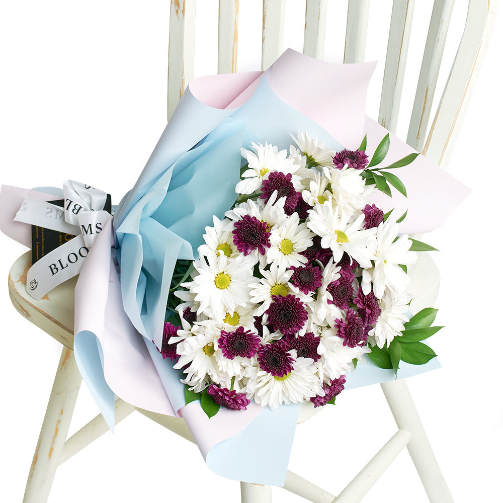 Mother's Day Spring Daisy Bouquet, white and purple daisies gathered with ruscus in a floral wrap and tied with a designer ribbon, Flower Gifts from Blooms New Jersey - Same Day New Jersey Delivery.