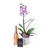Floral Treasures Flowers & Champagne Gift, purple orchid in a white ceramic planter, BOSS Extra Dark Chocolate, bottle of sparkling wine, Floral Gifts from Blooms New Jersey - Same Day New Jersey Delivery.