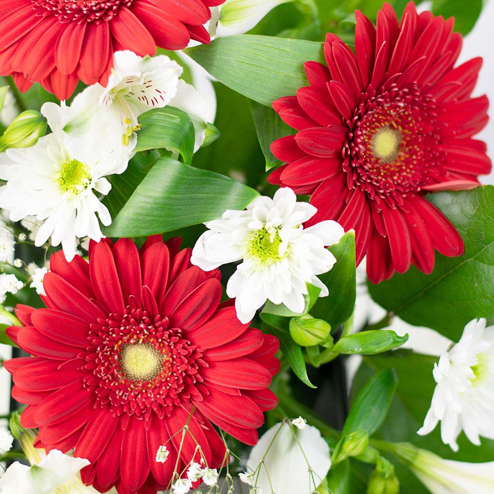 Fresh As a Daisy Gift Box, red and white flowers, including alstroemeria, daisies, gerberas, and roses, elegantly presented in a black designer hat box, Mixed Floral Gifts from Blooms New Jersey - Same Day New Jersey Delivery.
