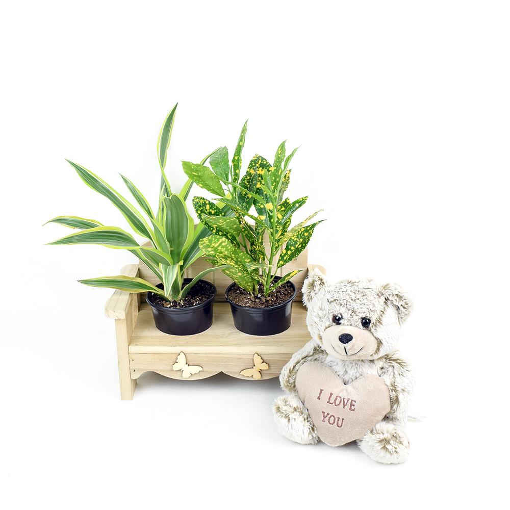 The Gardener's Chair, beautiful wooden chair with soft Sliver Jamie Bear sits 8 inches tall with an "I love you" message heart, Plant gifts from Blooms New Jersey - Same Day New Jersey Delivery.
