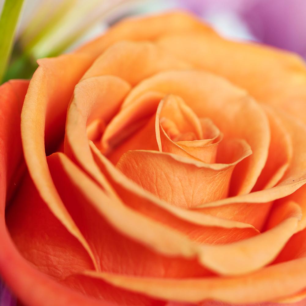 Heavenly Scents Flowers & Candle Gift, roses, daisies, lilies, alstroemeria, and greens in a ceramic vessel, Lavender scented candle, Mixed Floral Gifts from Blooms New Jersey - Same Day New Jersey Delivery.