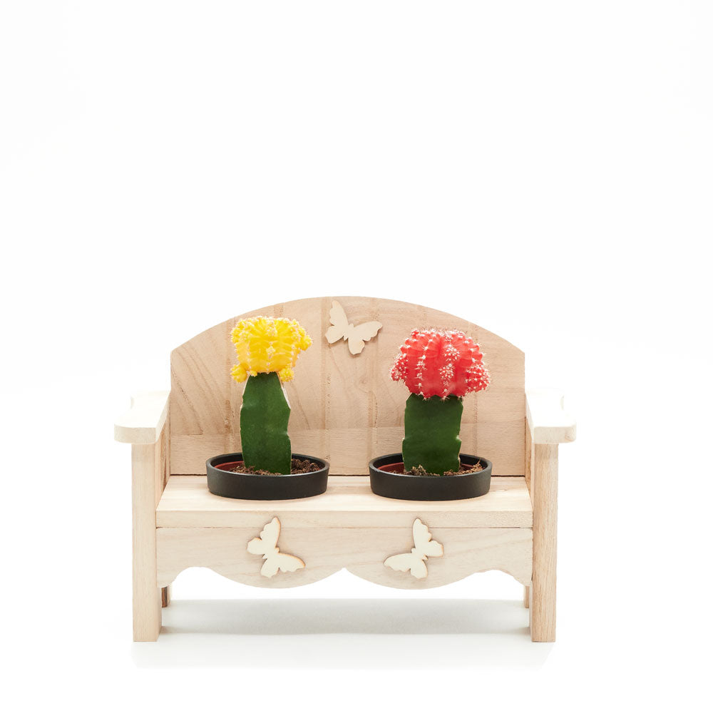 Desert Bench Cactus Arrangement, two potted cacti in a charming wooden planter bench, Plant Gifts from Blooms New Jersey - Same Day New Jersey Delivery.