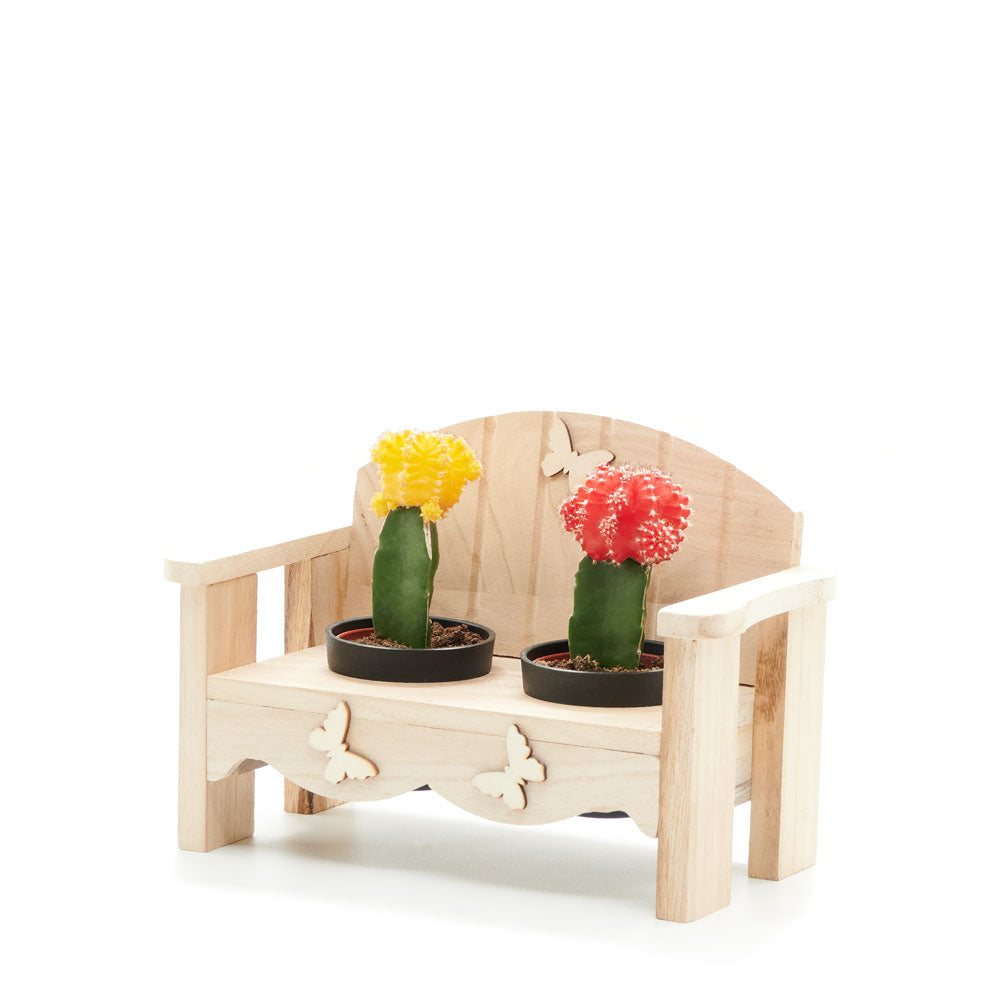 Desert Bench Cactus Arrangement, two potted cacti in a charming wooden planter bench, Plant Gifts from Blooms New Jersey - Same Day New Jersey Delivery.