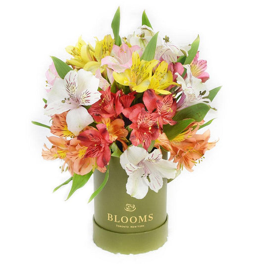 Livewire Lilies Flower Gift - New Jersey Blooms - New Jersey Flower Delivery