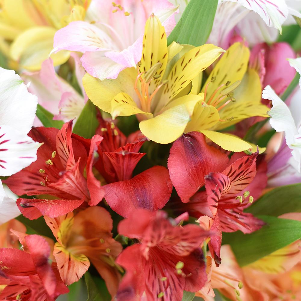 Livewire Lilies Flower Gift & Chocolates - New Jersey Blooms - New Jersey Flower Delivery