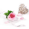 Mother's Day Single Pink Rose - Blooms New Jersey - New Jersey delivery