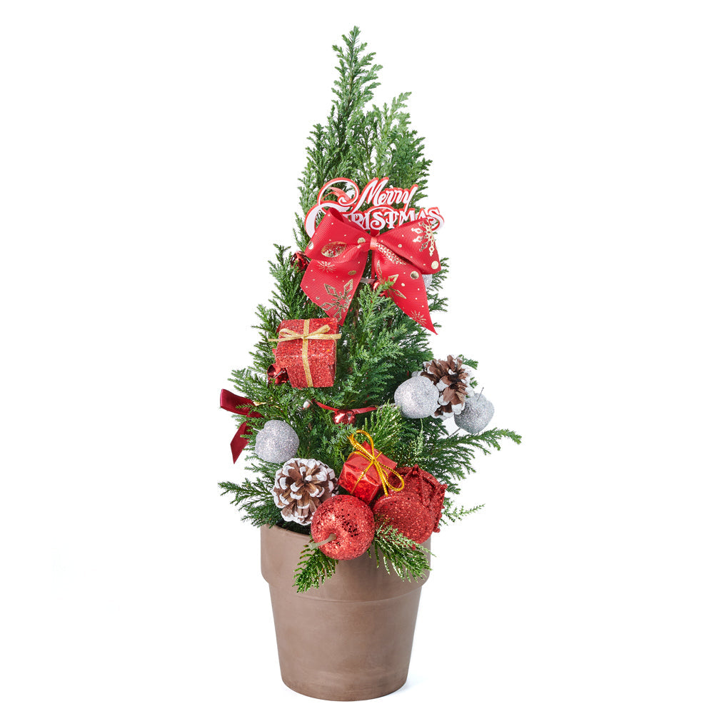 Set 24022-2021,  christmas,  holiday,  Floral Gift,  mini christmas tree,  tree,  holiday mini tree delivery, delivery holiday mini tree, christmas tree gift New Jersey, New Jersey christmas tree gift,New Jersey Blooms- New Jersey Delivery Blooms