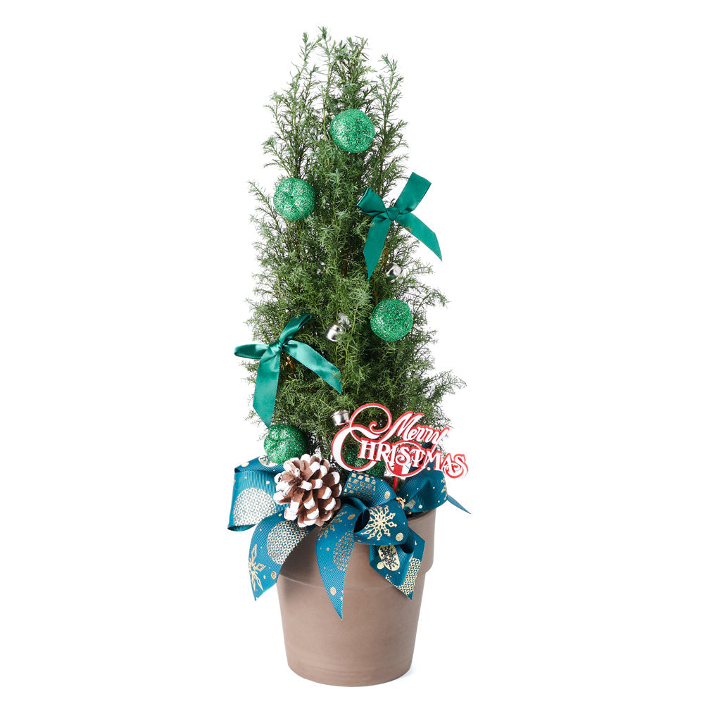 Decorated Green Mini Christmas Tree. New Jersey Blooms - New Jersey Delivery Blooms