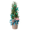 Decorated Green Mini Christmas Tree. New Jersey Blooms - New Jersey Delivery Blooms