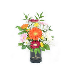 Pops of Cheer Mixed Floral Centerpiece