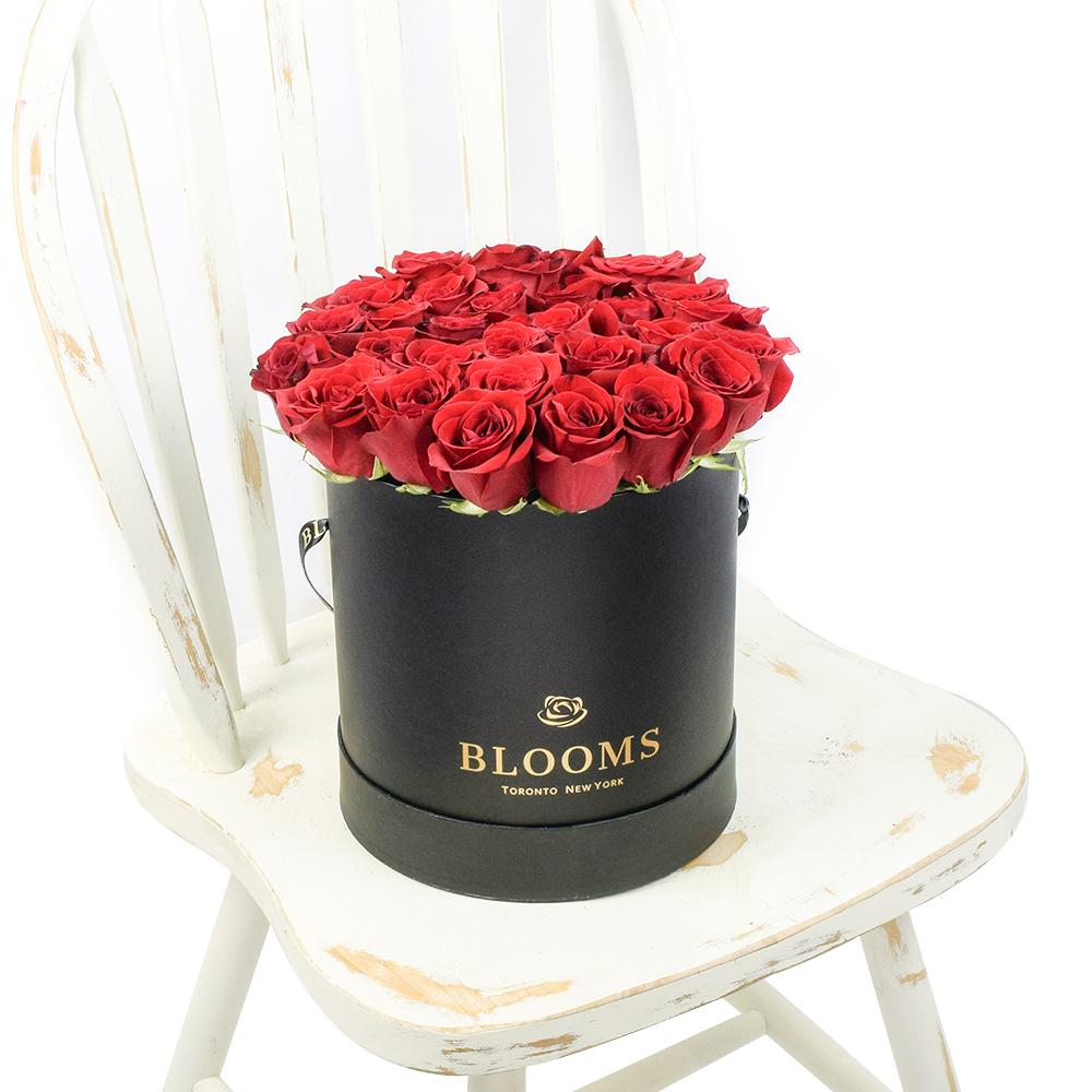 Red Vibrancy Box Rose Set - New Jersey Blooms - New Jersey flower delivery