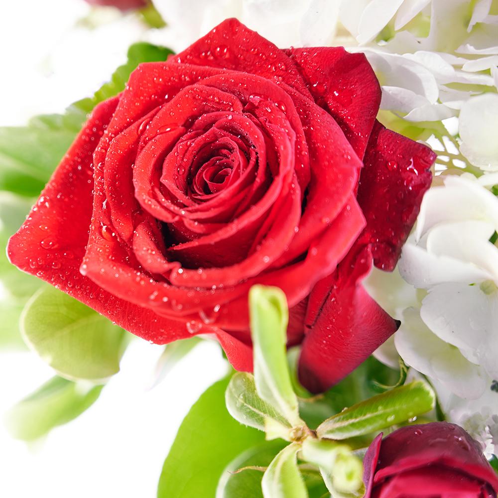 Rose & Hydrangea Vase with Wine - New Jersey Blooms - New Jersey Flower Delivery