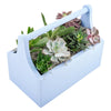 Rustic Charms Succulent Garden.New York Blooms - New Jersey Blooms Delivery Blooms 