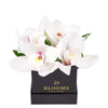 Simple Orchid Gift Box, cymbidium orchids elegantly presented in a black square designer hat box, Floral Gifts from Blooms New Jersey - Same Day New Jersey Delivery.
