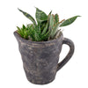Sitting Pretty Succulent Pitcher, selection of assorted succulents in a rustic stone pitcher planter, Plant Gifts from Blooms New Jersey - Same Day New Jersey Delivery.