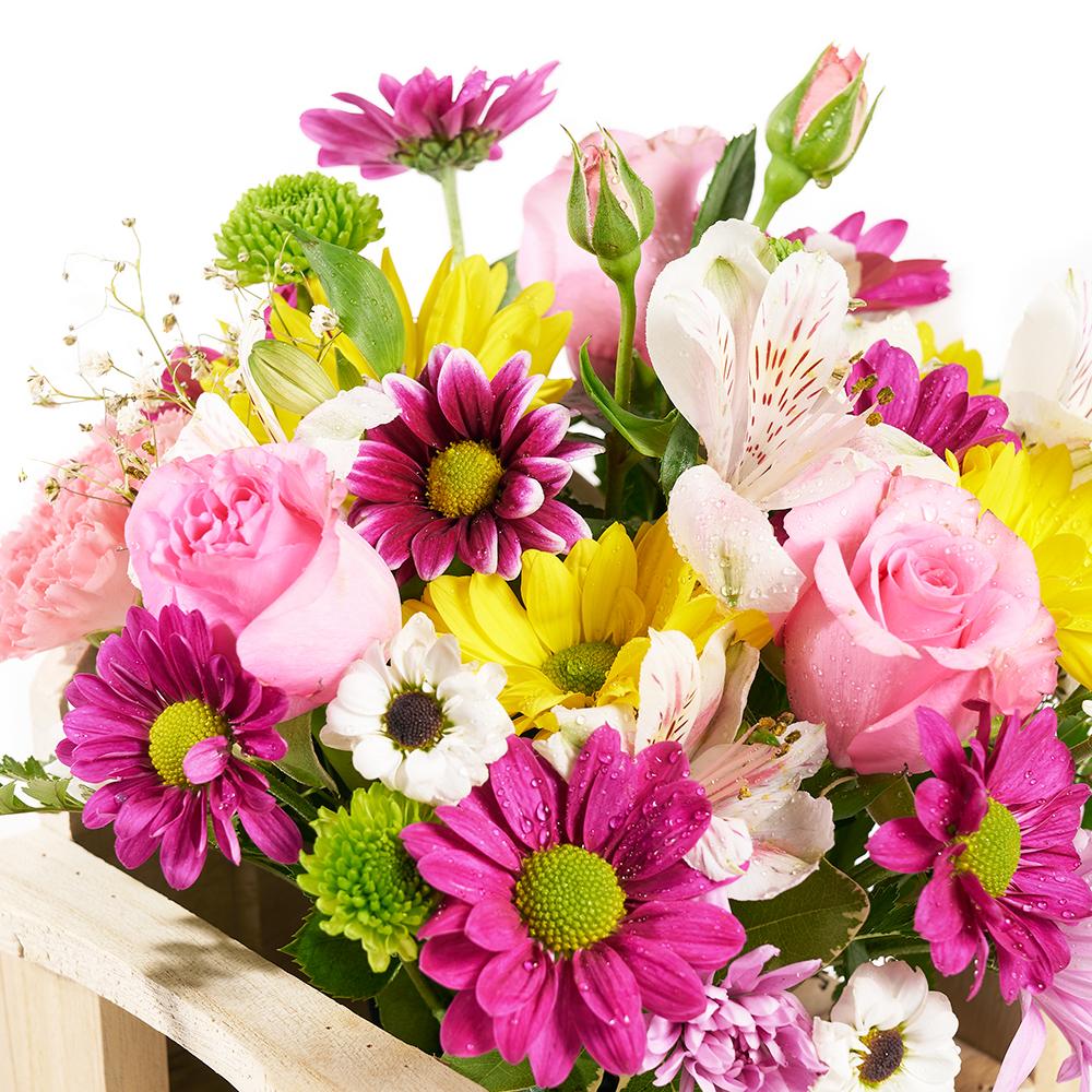 Slice of Nature Garden Chair, roses, alstroemeria, and daisies in a charming planter chair, Mixed Floral Gifts from Blooms New Jersey - Same Day New Jersey Delivery.