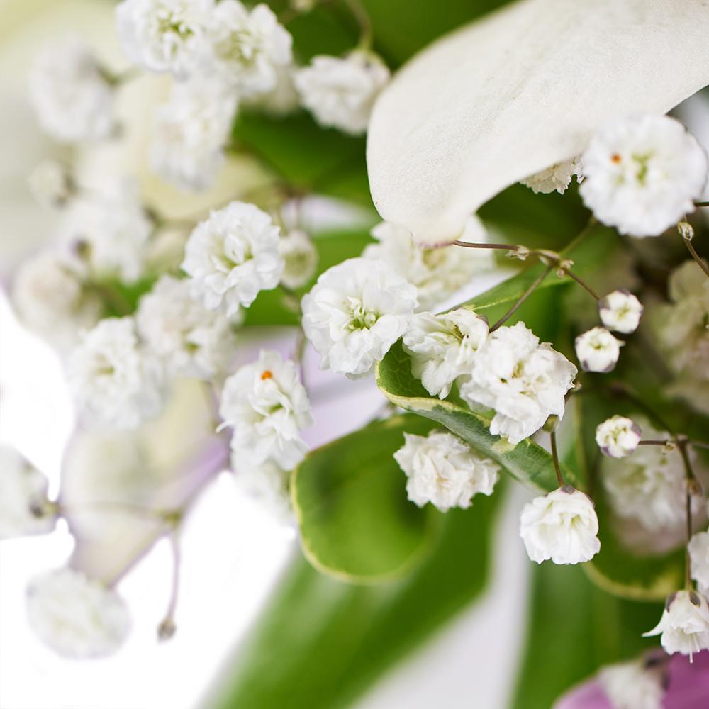 Spring Rose & Lily Arrnagement - New Jersey Blooms - New Jersey Flower Delivery