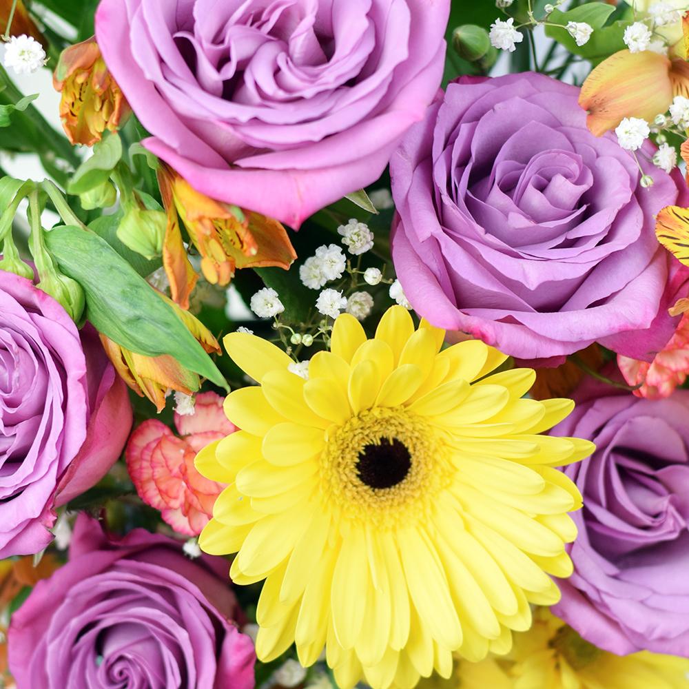 Summer Dreams Mixed Arrangement, multi-hued blooms and stems, including daisies, roses, alstroemeria, mini carnations, gerbera, spider mums, and baby’s breath arranged in a stylish square black hat box, Mixed Floral Gifts from Blooms New Jersey - Same Day New Jersey Delivery.