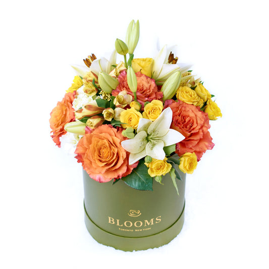 Summer Glow Mixed Arrangement, multi-hued roses, mini roses, lilies, alstroemeria, carnations and daisies in a tall sleek green designer hat box, Mixed Floral Gifts from Blooms New Jersey - Same Day New Jersey Delivery.
