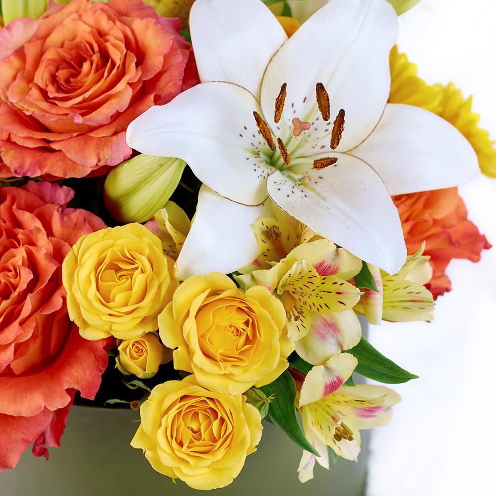 Summer Glow Mixed Arrangement, multi-hued roses, mini roses, lilies, alstroemeria, carnations and daisies in a tall sleek green designer hat box, Mixed Floral Gifts from Blooms New Jersey - Same Day New Jersey Delivery.