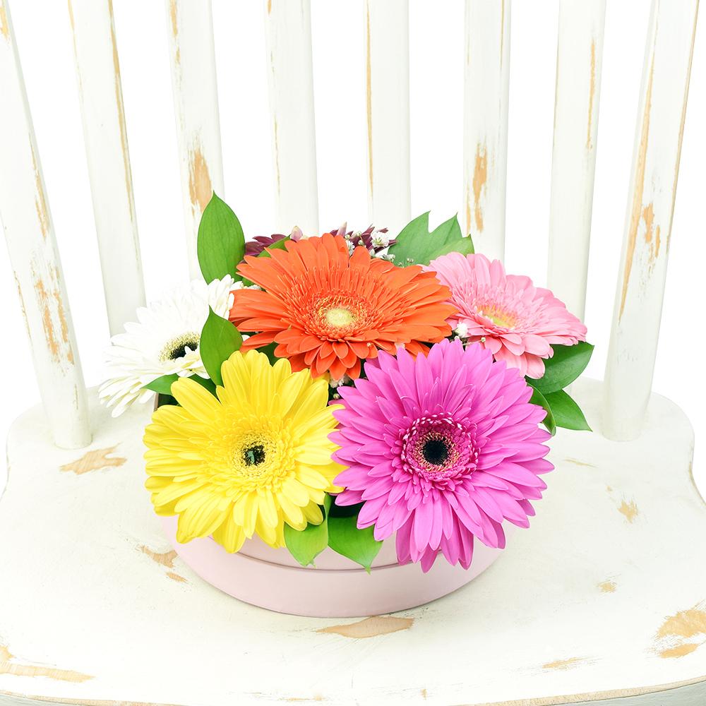 Vivacious Daisy Arrangement, gerbera in warm tones, ruscus, and baby’s breath in a stylish short pink hat box, Mix Floral Gifts from Blooms New Jersey - Same Day New Jersey Delivery.
