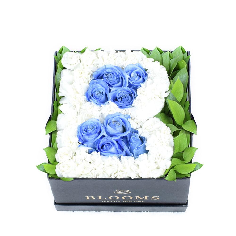 Welcome Baby Boy Flower Box - Roses in a 'B' shape in a designer box - New Jersey Blooms - New Jersey Flower Delivery
