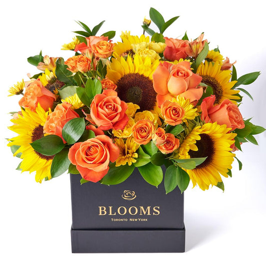 You Are My Sunshine Sunflower Box Gift, sunflowers, roses, alstroemeria, spray roses, daisies, and ruscus gathered together in a square black designer box, Mixed Flower Gifts from New Jersey Blooms - Same Day New Jersey Delivery.
