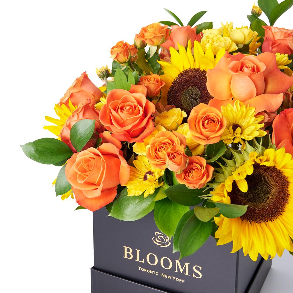 You Are My Sunshine Sunflower Box Gift, sunflowers, roses, alstroemeria, spray roses, daisies, and ruscus gathered together in a square black designer box, Mixed Flower Gifts from New Jersey Blooms - Same Day New Jersey Delivery.