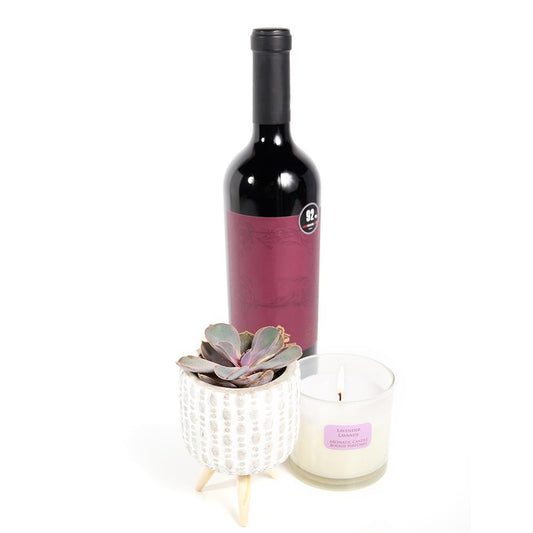"You're Special" Plant & Wine Gift, potted succulent in a white ceramic planter with a stand, Lavender scented candle, bottle of red wine, Plant & Wine Gifts from Blooms New Jersey - Same Day New Jersey Delivery.