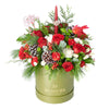 Ultimate Holiday Flower Box, roses, carnations, pine cones, alstroemeria, daisies, berries, greens, and holiday decorations in a sleek round green designer box, mixed floral gifts from Blooms New Jersey - Same Day New Jersey Delivery.