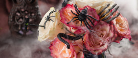 Halloween flower gifts New Jersey Flower Delivery -Same Day Shipping