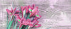 Alstroemeria / Peruvian Lilies