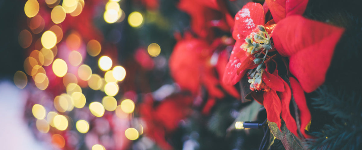Seasonal Flower Gifts - New Jersey Blooms Gifts - New Jersey Flower Delivery