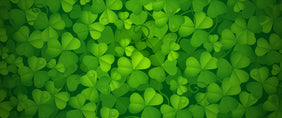 st patrick's day flower gifts New Jersey Flower Delivery