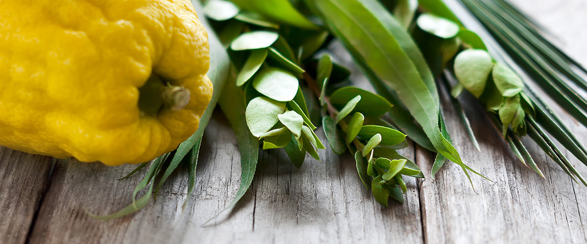 Sukkot