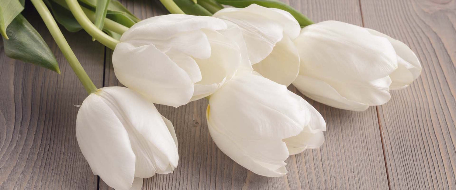 Sympathy Flowers Delivered to New Jersey